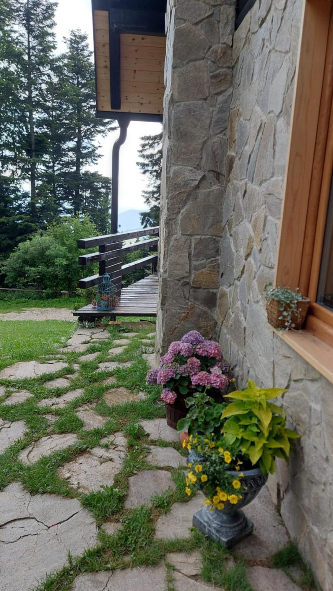 Rogla - Chalet Mojca Pokrajculja Zreče Exterior foto