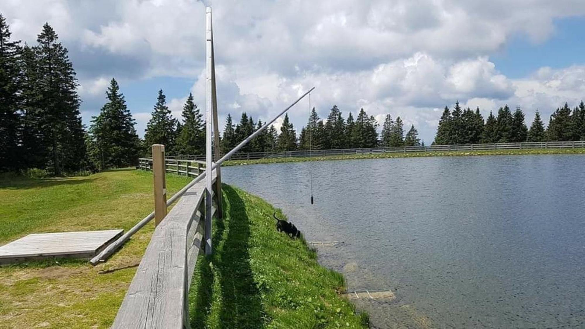 Rogla - Chalet Mojca Pokrajculja Zreče Exterior foto
